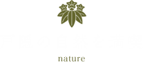 戸隠の自然を満喫
